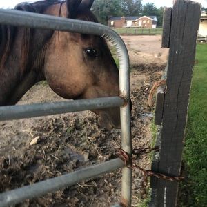 Meet your Posher, Makennah